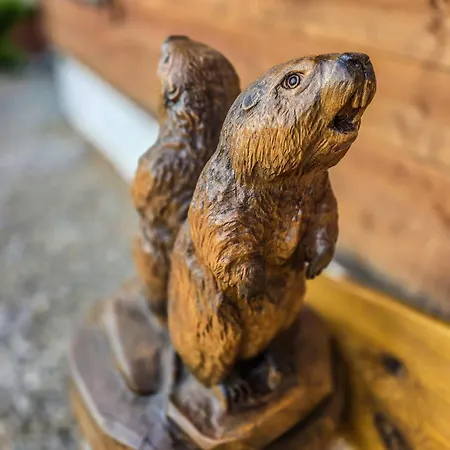 X-alp Oetztal 索滕斯