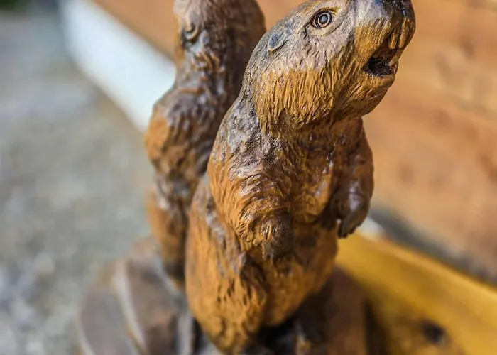 X-alp Oetztal Заутенс